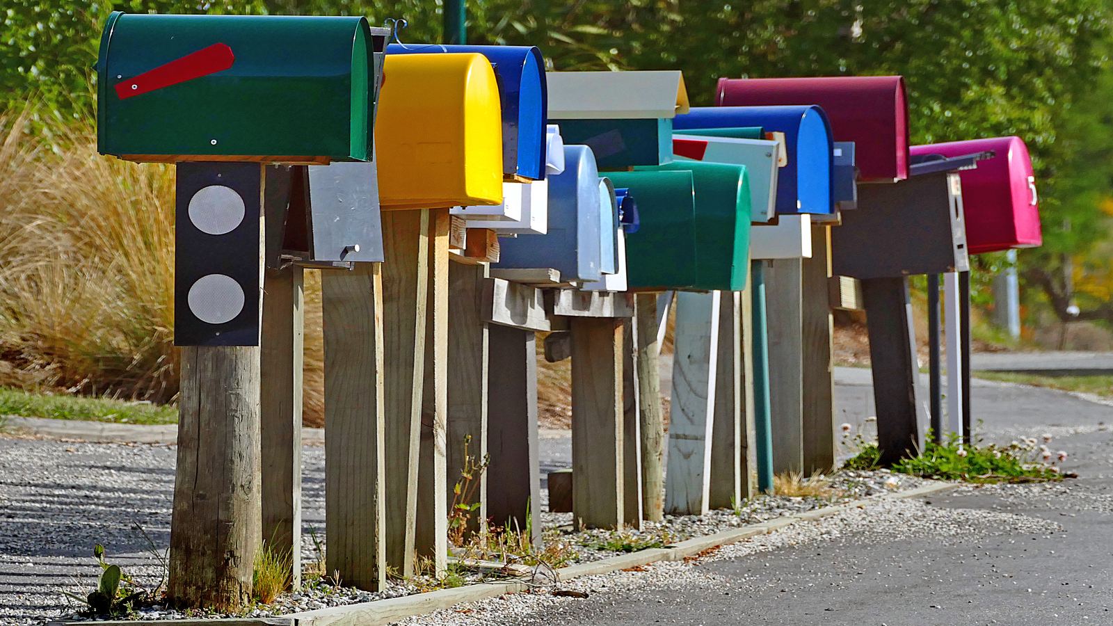 A row of colorful mailboxes on wooden posts along the edge of a country road, with grasses and trees in the background.